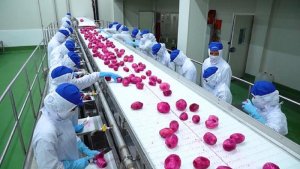 Cần đổi mới c&ocirc;ng nghệ, thiết bị chế biến n&ocirc;ng sản