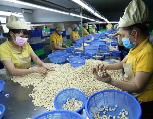 Hiệp định EVFTA: N&acirc;ng cao chuỗi gi&aacute; trị gia tăng cho n&ocirc;ng sản Việt