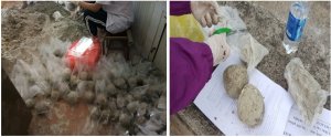 Chế phẩm vi sinh vật chịu mặn dạng vi&ecirc;n