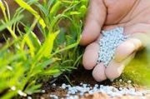 Qu&yacute; 1 năm 2020, ph&acirc;n b&oacute;n xuất xứ từ Trung Quốc chiếm 40,1% thị phần