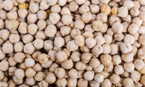 Đột ph&aacute; với giống đậu chickpeas chịu hạn, năng suất cao