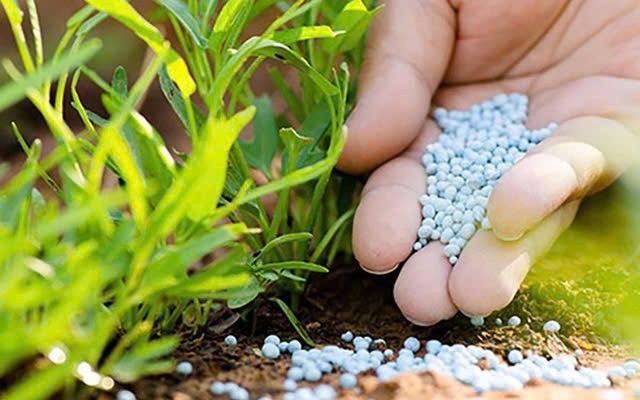 Chiến lược quản l&yacute; vật tư n&ocirc;ng nghiệp: Hướng tới nền n&ocirc;ng nghiệp sinh th&aacute;i v&agrave; tr&aacute;ch nhiệm quốc gia