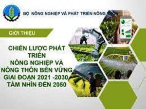 Th&uacute;c đẩy ph&aacute;t triển n&ocirc;ng nghệp bền vững với đối mới, s&aacute;ng tạo về khoa học, c&ocirc;ng nghệ v&agrave; thị trường