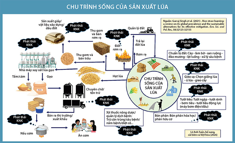 Để y&ecirc;n cho cọng rơm tr&ecirc;n đồng l&uacute;a