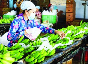 Ph&aacute;t triển thị trường, tăng tốc xuất khẩu