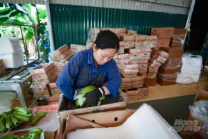 Gi&aacute; trị xuất khẩu n&ocirc;ng sản 10 th&aacute;ng tiến gần 40 tỷ USD 