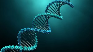 C&ocirc;ng nghệ DNA mới khiến ch&uacute;ng ta phải "vẽ lại" c&acirc;y tiến h&oacute;a