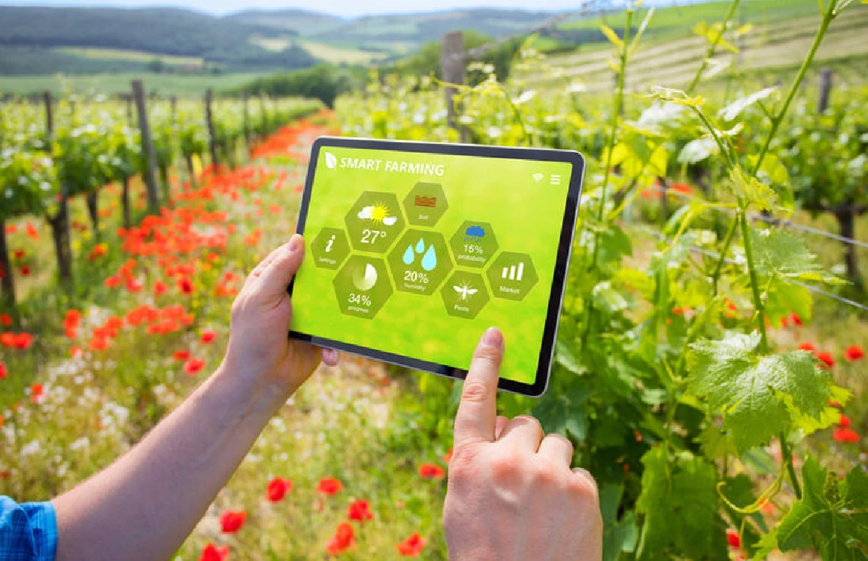 Chuyển đổi số n&ocirc;ng nghiệp: N&acirc;ng cao năng suất v&agrave; gi&aacute; trị gia tăng của ng&agrave;nh