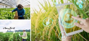 Chuyển đổi c&ocirc;ng nghệ số sẽ c&aacute;ch mạng h&oacute;a ng&agrave;nh n&ocirc;ng nghiệp