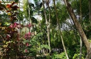 Nghịch l&yacute;: Sự n&oacute;ng l&ecirc;n to&agrave;n cầu c&oacute; thể l&agrave;m giảm lượng kh&iacute; thải carbon