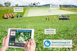C&ocirc;ng nghệ gi&uacute;p cải thiện ph&uacute;c lợi động vật v&agrave; hiệu quả n&ocirc;ng nghiệp
