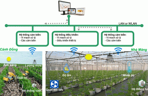 Khai th&aacute;c tối đa lợi thế ph&aacute;t triển n&ocirc;ng nghiệp ứng dụng c&ocirc;ng nghệ cao đến năm 2020