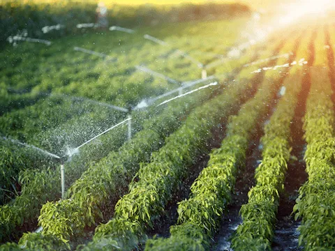 Cơ sở l&yacute; luận v&agrave; thực tiễn ph&aacute;t triển n&ocirc;ng nghiệp hữu cơ, n&ocirc;ng nghiệp sinh th&aacute;i, tuần ho&agrave;n trong định hướng thực hiện c&aacute;c mục ti&ecirc;u ph&aacute;t triển bền vững