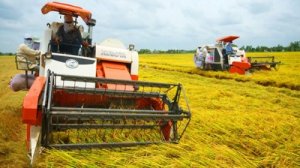 Đề xuất x&acirc;y dựng ch&iacute;nh s&aacute;ch hỗ trợ giảm tổn thất trong n&ocirc;ng nghiệp