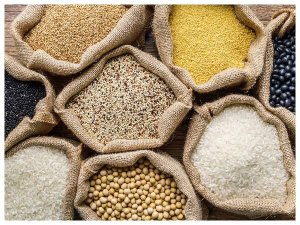 FAO: Chỉ số gi&aacute; lương thực giảm trong th&aacute;ng 4
