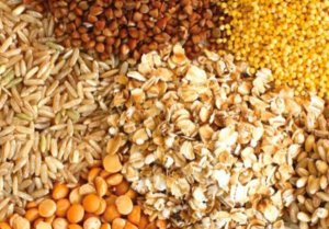 FAO điều chỉnh dự b&aacute;o sản lượng ngũ cốc thế giới năm 2021 đạt 2.799 triệu tấn