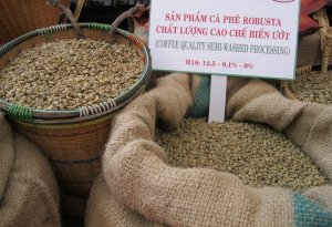Cần phải tổ chức tốt chuỗi gi&aacute; trị sản xuất, xuất khẩu mặt h&agrave;ng c&agrave; ph&ecirc;
