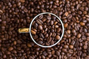 Thị trường c&agrave; ph&ecirc; th&aacute;ng 8/2019: Gi&aacute; c&agrave; ph&ecirc; chạm đ&aacute;y 13 năm
