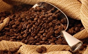 Thị trường c&agrave; ph&ecirc; ng&agrave;y 23/8 