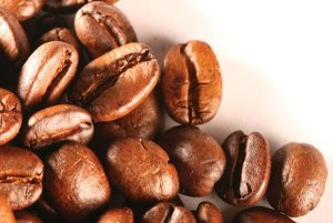 Gi&aacute; n&ocirc;ng sản chi tiết h&ocirc;m nay 15/12