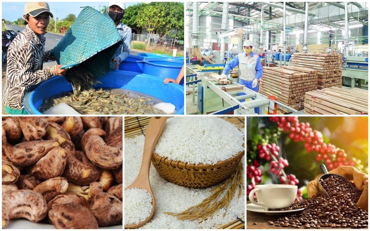 C&ocirc;ng bố 10 sự kiện nổi bật của ng&agrave;nh N&ocirc;ng nghiệp v&agrave; M&ocirc;i trường năm 2025