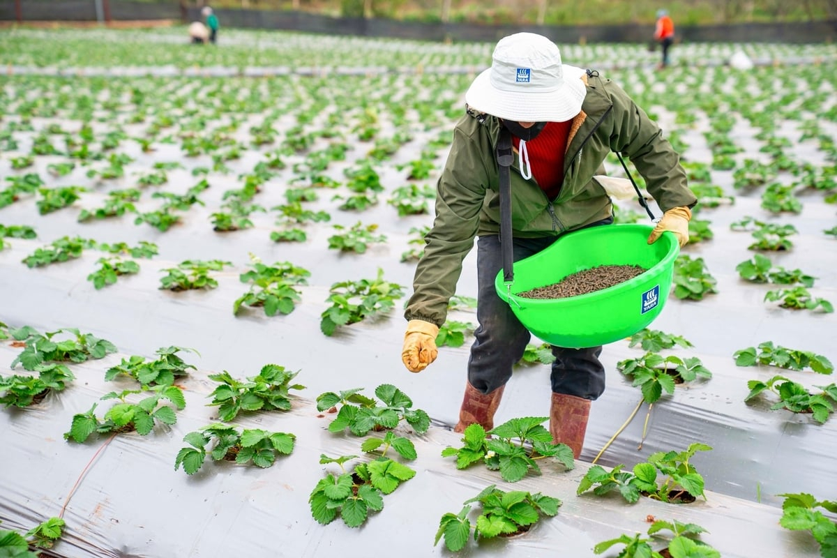 C&ocirc;ng bố dự thảo Chiến lược Sức khỏe đất Quốc gia đến năm 2030 