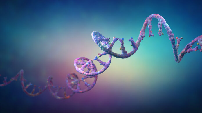C&ocirc;ng nghệ CRISPR định hướng bằng DNA gợi &yacute; một hướng đi mới cho việc chỉnh sửa RNA.