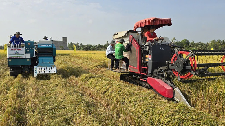 C&ocirc;ng nghệ mới cho l&uacute;a chất lượng cao, ph&aacute;t thải thấp: Bước tiến cho 'Gạo Việt xanh'