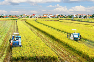 Thách thức và cơ hội trong nông nghiệp