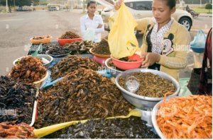 Thị trường c&ocirc;n tr&ugrave;ng l&agrave;m thực phẩm rất triển vọng 