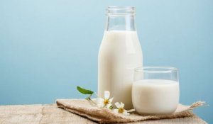 FAO: Gi&aacute; sữa tăng đẩy chỉ số gi&aacute; thực phẩm th&aacute;ng 5 tăng theo