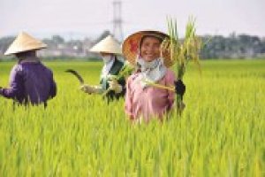 Ng&agrave;nh n&ocirc;ng nghiệp xuất si&ecirc;u 1,4 tỷ USD trong th&aacute;ng 1, gấp 4,6 lần c&ugrave;ng kỳ