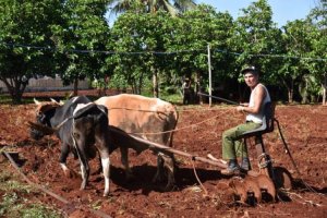 Việt Nam hỗ trợ Cuba ph&aacute;t triển sản xuất n&ocirc;ng nghiệp, thủy sản