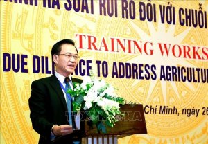 R&agrave; so&aacute;t rủi ro với chuỗi cung ứng n&ocirc;ng sản