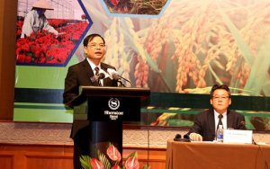 N&ocirc;ng sản Việt Nam c&oacute; cơ hội tham gia chuỗi gi&aacute; trị to&agrave;n cầu