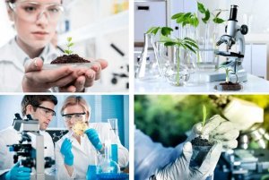 Ph&aacute;t triển c&ocirc;ng nghiệp sinh học trong lĩnh vực bảo vệ m&ocirc;i trường theo hướng bền vững, th&acirc;n thiện