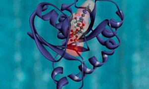 T&igrave;m ra c&ocirc;ng thức sản xuất protein nh&acirc;n tạo