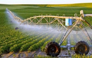 Ph&aacute;t triển khoa học c&ocirc;ng nghệ trong n&ocirc;ng nghiệp cần gắn với nhu cầu thị trường