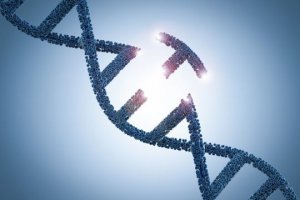 Ph&aacute;t triển c&ocirc;ng cụ chỉnh sửa gene