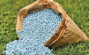 Xuất khẩu ph&acirc;n b&oacute;n năm 2024 sang c&aacute;c thị trường trị gi&aacute; tr&ecirc;n 709,91 triệu USD