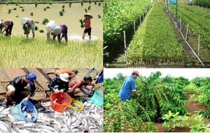 N&ocirc;ng nghiệp vượt kh&oacute; để duy tr&igrave; sản lượng