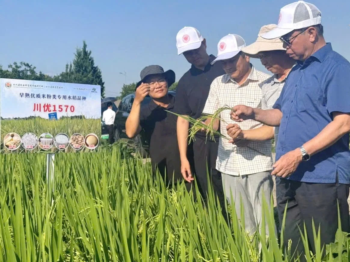 Đ&atilde;i ngộ nh&acirc;n t&agrave;i n&ocirc;ng nghiệp ở Trung Quốc: Nh&acirc;n t&agrave;i l&agrave; cơ sở, nghi&ecirc;n cứu khoa học l&agrave; gốc rễ 