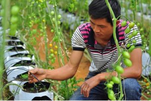 Nhận thức về tưới ti&ecirc;n tiến, tiết kiệm nước c&ograve;n hời hợt, chủ quan