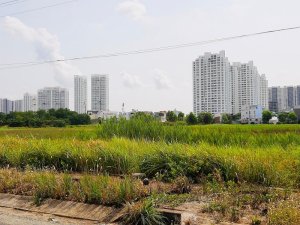 G&oacute;p &yacute; nội dung sửa đổi trong dự thảo Luật Đất đai