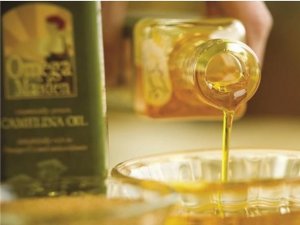 Nh&acirc;n giống th&agrave;nh c&ocirc;ng camelina hạt v&agrave;ng cho h&agrave;m lượng dầu cao
