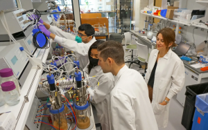 C16 Biosciences: Giải ph&aacute;p sạch thay cho dầu cọ