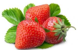 Một số loại thuốc trừ s&acirc;u l&agrave;m d&acirc;u t&acirc;y bị nhạt