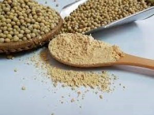  Nhập khẩu đậu tương th&aacute;ng 1/2024 tăng 165% kim ngạch