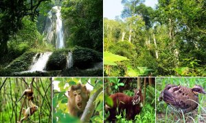S&aacute;ng chế gi&uacute;p bảo vệ đa dạng sinh học