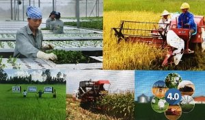 Ph&ecirc; duyệt Đề &aacute;n &ldquo;Hội N&ocirc;ng d&acirc;n Việt Nam tham gia ph&aacute;t triển kinh tế tập thể trong n&ocirc;ng nghiệp đến năm 2030&rdquo;